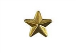 Attachment:    Gold Star - Special for SSBN - Combat Aircrew (CD1) - For Badge