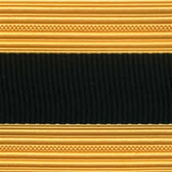 US Army Cap Braid with Specialty for Officer:  CHAPLAIN