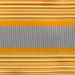 US Army Cap Braid with Specialty for Officer:  FINANCE