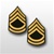 US Army Rank - Mens Gold/Green: E-7 Sergeant First Class (SFC)