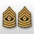 US Army Rank - Mens Gold/Green: E-8 First Sergeant (1SG)