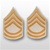 US Army Rank Womens Gold/White: E-7 Sergeant First Class (SFC)