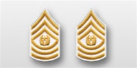 US Army Rank Womens Gold/White: E-9 Command Sergeant Major (CSM)