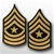 US Army Rank Womens Gold/Blue: E-9 Sergeant Major (SGM)