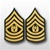 US Army Rank Womens Gold/Blue: E-9 Command Sergeant Major (CSM)