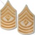 US Army Rank Gold/White: E-8 First Sergeant (1SG)