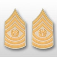 US Army Rank Gold/White: E-9 Command Sergeant Major (CSM)