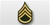US Army Rank Womens Gold/Green: E-6 Staff Sergeant (SSG)