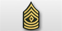 US Army Rank Womens Gold/Green: E-8 First Sergeant (1SG)
