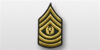 US Army Rank Womens Gold/Green: E-9 Command Sergeant Major (CSM)