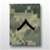US Army ACU GoreTex Jacket Tab: E-2 Private (PV2)