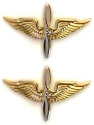 US Army Officer Branch Insignia 22K: Aviation