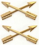 US Army Officer Branch Insignia 22K: Special Forces