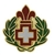US Army Unit Crest: 344th Combat Support Hospital - NO MOTTO