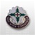 US Army Unit Crest: Madigan Army Medical Center - Motto: CARE WITH COMPASSION