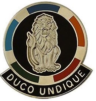 US Army Unit Crest: Special Troops Battalion 4th Brigade - 25th Infantry Division - MOTTO: DUCO UNDIQUE