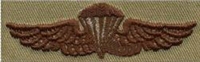 US Navy Desert Embroidered Badge: Navy & Marine Corps Parachute