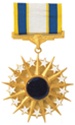 Full-Size Medal: Air Force Distinguished Service - USAF