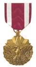 Full-Size Medal: Meritorious Service Medal - All Services