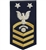 USCG Master Chief Petty Officer Rating Badge with Specialty:  E-9  Telecommunications Specialist (TC)