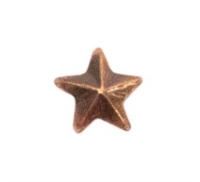 Attachment:        Bronze Star 1/8" - For Mini Medal