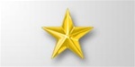 Attachment:    Gold Star 1/8" - For Mini Medal