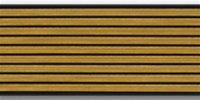 US Army Service Stripes For Male Blue Uniform:  9 Stripes