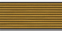 US Army Service Stripes For Male Blue Uniform: 11 Stripes