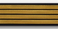 US Army Service Stripes For Female Blue Uniform: 4 Stripes