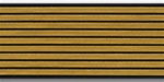 US Army Service Stripes For Female Blue Uniform: 9 Stripes