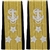 US Navy Line Officer Softboards:  O-9 Vice Admiral (VADM)