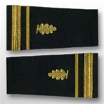 US Navy Staff Officer Softboards: Lieutenant Junior Grade - Medical Service Corp