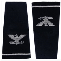 USAF Male Officer Epaulets - Bullion Embroidered:  O-6 Colonel (Col)