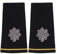 US Army Male Epaulets With Bullion Rank:  O-5 Lieutenant Colonel (LTC) - Large - For Commando Sweater Or Shirt