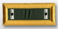 US Army Male Shoulder Straps: SPECIAL FORCES - WO1 - Nylon