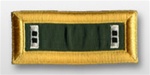 US Army Female Shoulder Straps: SPECIAL FORCES - WO2 - Nylon