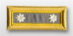 US Army Female Shoulder Straps: FINANCE - Lt. Colonel - Nylon