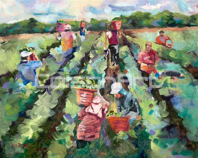 Jill Bright Pepper Pickers