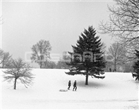 Richard J. Cann First Snow Fall