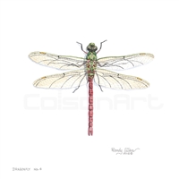 Randy Gibbs Dragonfly #4