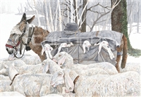 Randy Gibbs High Country Sheep