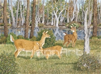 Randy Gibbs Still Pond Deer