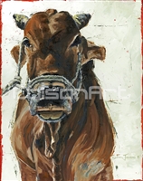 Brahma Bull by Cheryl Jowers