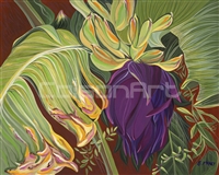 Banana Plant by Earle McKey