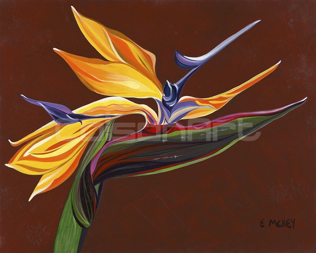 Bird of Paradise 2 by Earle McKey