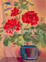 Geraniums by Earle McKey