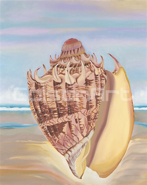Ocean Shell by Earle McKey