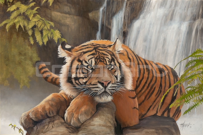 Thomas M. Thomson Shere Khan