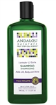 Andalou Naturals Shampoo, Lavender & Biotin (11.5
