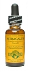 Astragalus (Huang Qi) - 1 oz